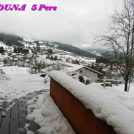 Appartements 5 Personnes Maya Et Louna Xonrupt-Longemer Exterior foto