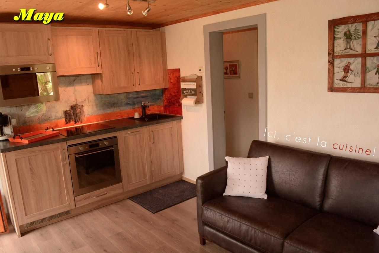 Apartment 5 Personnes Maya Et Louna Xonrupt-Longemer