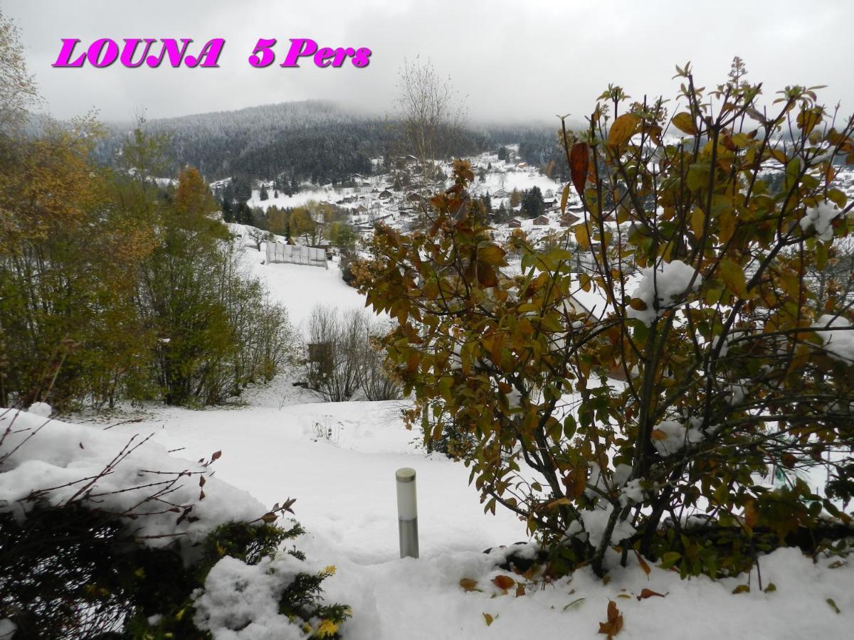 5 Personnes Maya Et Louna Appartamento Xonrupt-Longemer